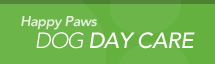 Dogs Day Care, Dog Boarding, Pet
                                                  Boarding
