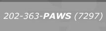 Call us, Happy
                                                Paws, Dogs Boarding