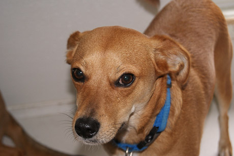 SONY DSC