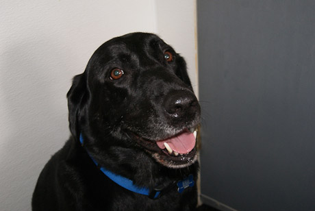 SONY DSC